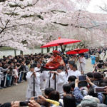 【2019年】醍醐寺桜祭りの混雑状況は？見ごろ時期や開花状況を調べる方法も紹介！